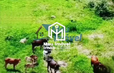 Chácara / sítio com 5 quartos à venda na Área Rural, S/n, Área Rural de Luziânia, Luziânia