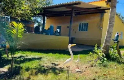 Chácara / sítio com 2 quartos à venda na Área Rural, S/n, Área Rural de Luziânia, Luziânia