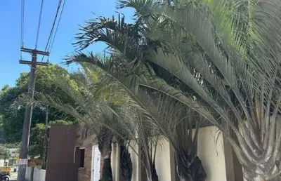Oportunidade!! apartamento com 2 dormitórios à venda, 67 m² por r$ 450.000 - nova esperança - balneário camboriú/sc