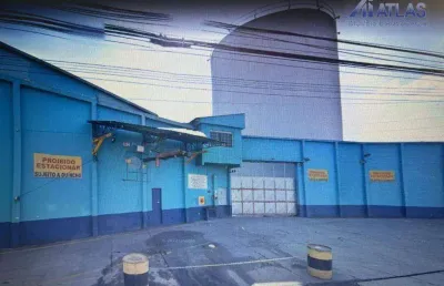 Terreno à venda, 4950 m² por r$ 22.000.000,00 - vila guilherme - são paulo/sp