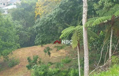 Terreno à venda, 1083 m² por r$ 350.000,00 - condomínio reserva ibirapitanga - santa isabel/sp