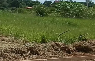 Terreno à venda no jardim são francisco ii, cerquilho  por r$ 150.000