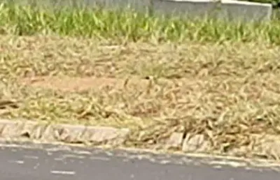 Terreno à venda no jardim são francisco ii, cerquilho  por r$ 150.000