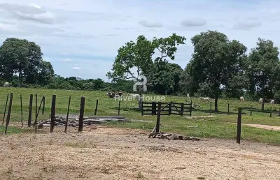 Fazenda à venda, na região do municipio de santo antonio do leverger  mt