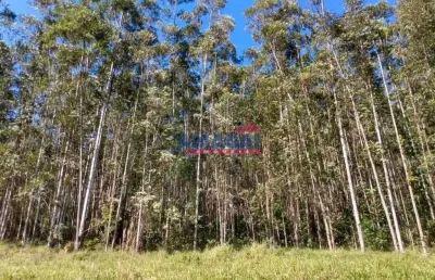 Chácara / sítio à venda em mombuca, santa branca  por r$ 2.090.000