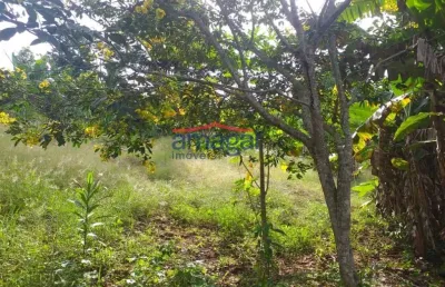 Chácara / sítio com 2 quartos à venda na zona rural, santa branca  por r$ 220.000