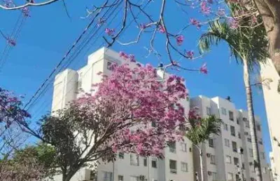 Apartamento padrao a venda, jardim america, maringa, pr