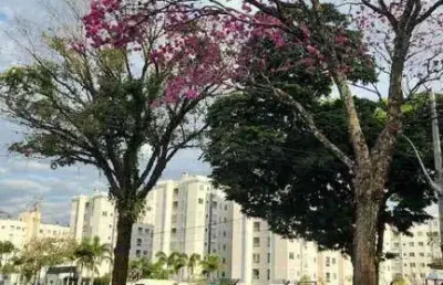 Apartamento padrao a venda, jardim america, maringa, pr