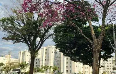 Apartamento padrao a venda, jardim america, maringa, pr
