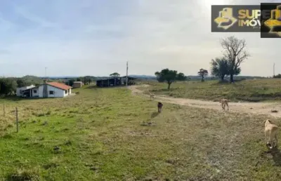 Fazenda com 1 sala à venda no Centro, Piratini 