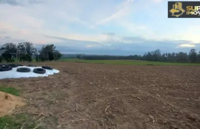 Fazenda espetacular no capão do leão-rs próximo de pelotas