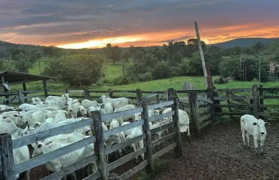 Fazenda com 2 salas à venda na ÁRea Rural, Zona Rural, Minaçu