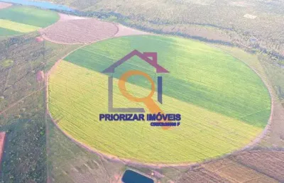Fazenda dupla aptidão com 531 há e 230 irrigados com pivôs e