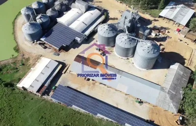 Fazenda dupla aptidão com 6 mil ha em são gabriel -mt