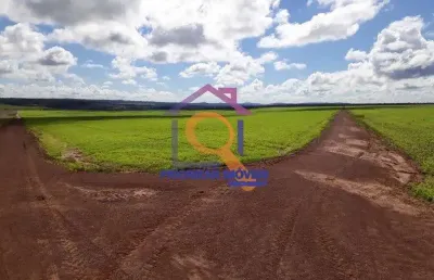 Fazenda com 7.982,12 ha com dupla aptidão formada em paranatinga-mt