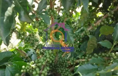 Fazenda de café e pecuária com 374 ha em varginha-mg