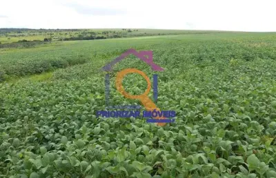 Fazenda dupla aptidão de 958 ha irrigável e toda formada em