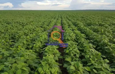 Fazenda dupla aptidão 17.000 mil ha formada em água boa-mt