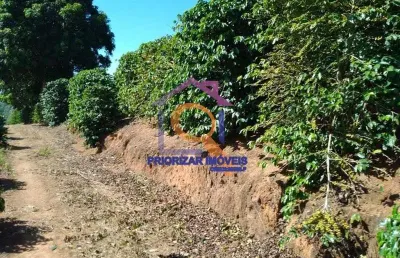 Fazenda de café toda formada e produtiva com 170 alqueires  em guaxupé - mg