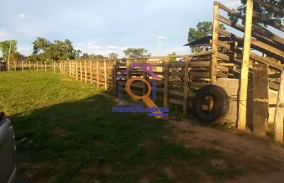 Fazenda dupla aptidão com 138,45 ha formada em januária - mg