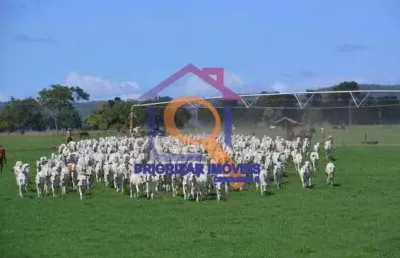 Fazenda dupla aptidão com 2032 ha irrigada em pirapora-mg