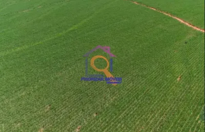 Fazenda de cana com 912 ha em presidente prudente- sp
