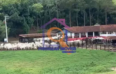 Ótima fazenda dupla aptidão 800 ha  no vale paraiba -sp