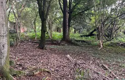 Lote/terreno para venda possui 2334 metros quadrados em garças - belo horizonte - mg