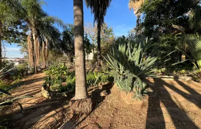 Terreno à venda na Santa Amélia, Belo Horizonte 