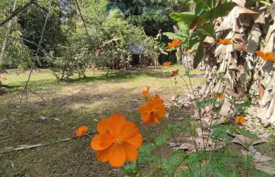 Chácara à venda no bairro vila das palmeiras - morretes/pr