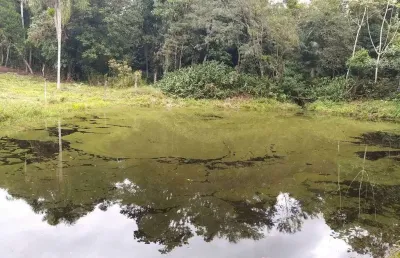 Chácara / sítio com 3 quartos à venda na Itaperuçu, Vila Itaperuçu, Morretes