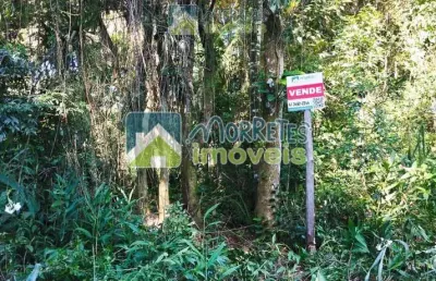 Área à venda no bairro cruz alta - morretes/pr, rural