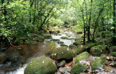 Terreno à venda na estrada da ponte alta, 227, zona rural, morretes, 39400 m2 por r$ 375.000