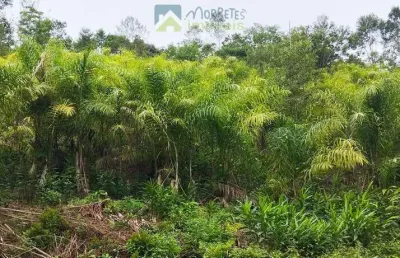 Fazenda à venda na PR 410, sn, Braço da Figueira, Antonina
