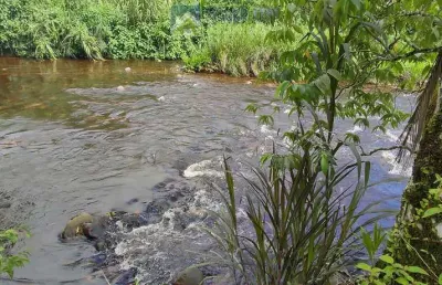 Chácara / sítio com 5 quartos à venda na Estrada Do Anhaia, 620, Anhaia, Morretes