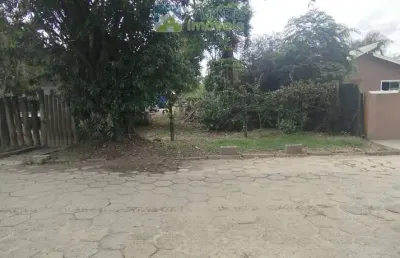 Terreno à venda no bairro rocio - morretes/pr, urbana