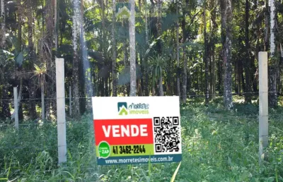 Terreno lote com 1.500m² plano, frente para estrada, próximo 200 metros da ponte do nhundiaquara morretes/pr