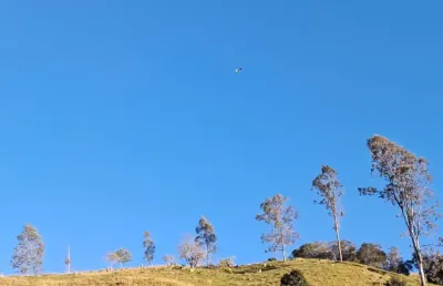 145200 m² totalmente formado em eucalipto distante apenas 3 km da rodovia