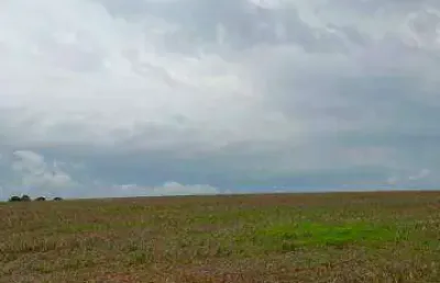 Chácara / sítio à venda na Faz Rural, Área Rural de Catalão, Catalão