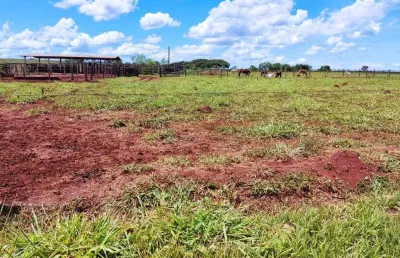 Fazenda de dupla aptidão em campo grande, ms - 2000 hectares de oportunidade!