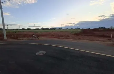 Oportunidade única: terreno espaçoso e arborizado no alto umuarama, lote verde