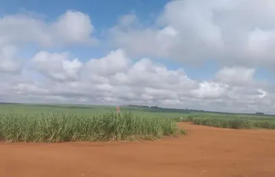 Fazenda cana de açúcar em mineiros- go: oportunidade única!