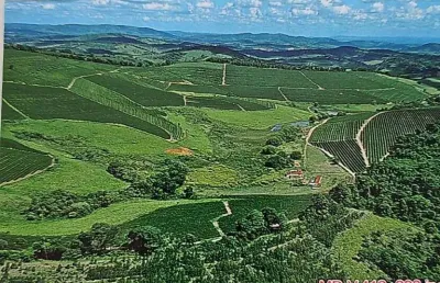 Viva o sonho do café: torne-se dono de uma fazenda de sucesso em santo antônio do amparo-mg