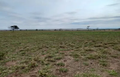 Explore novos horizontes: fazenda excepcional à venda em cocalinho-mt