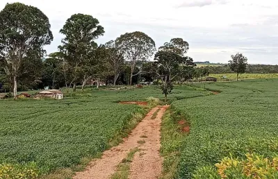 Chácara / sítio à venda na Avenida João Naves de Ávila, Centro, Uberlândia