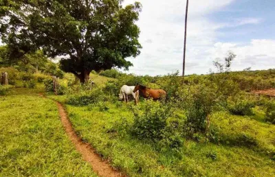 Chácara / sítio à venda na Área Rural, Área Rural de Uberlândia, Uberlândia