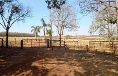 Fazenda à venda, área rural de uberlândia - uberlândia/mg