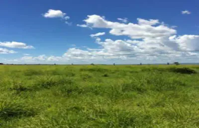 Fazenda à venda, 4 quartos, 1 suíte, centro - barra do garcas/mt