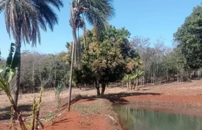Chácara / sítio à venda na Alameda Doze, Sibipiruna, Araguari