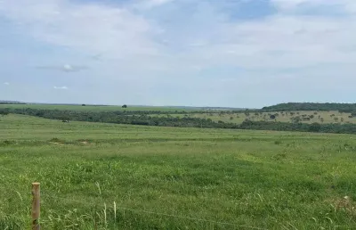 Fazenda 387,2 hectares de dupla aptidão próxima a uberlândia, mg!